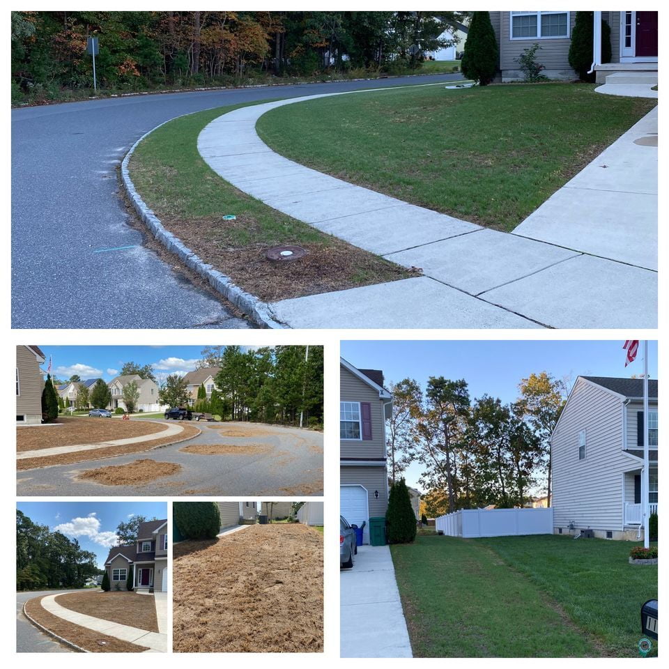 Full Front Yard Reno Update 1
